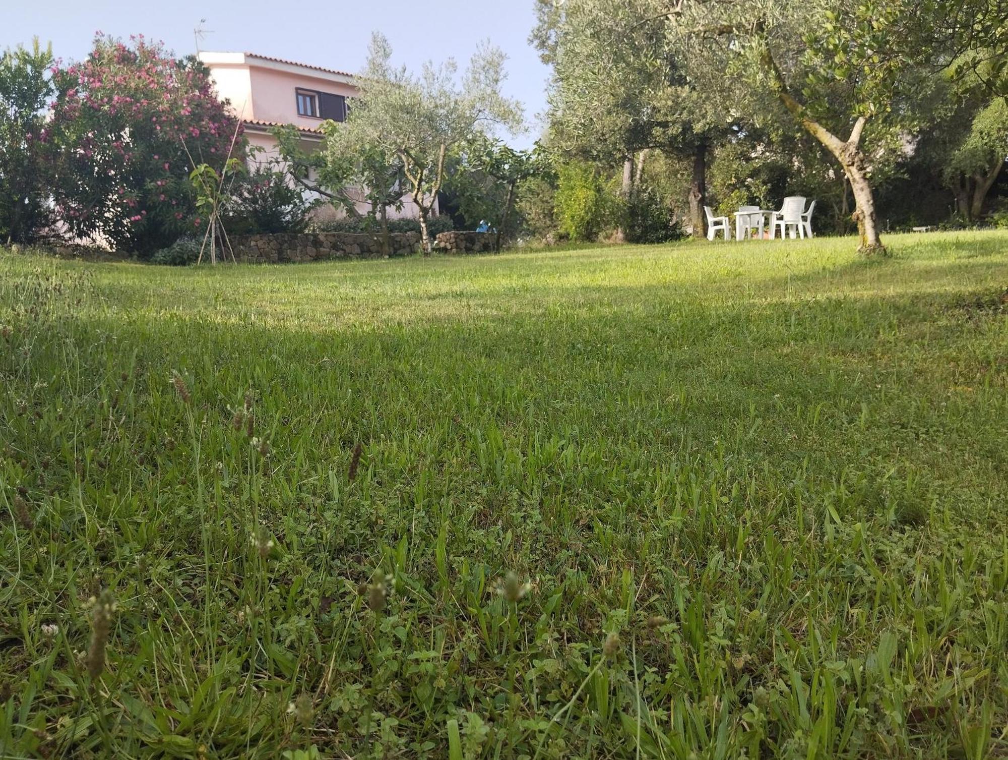 Apartment In Bruno *